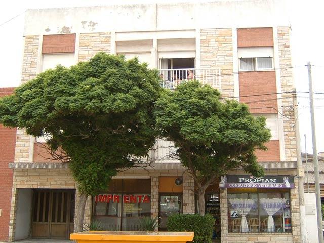1716_171.jpg